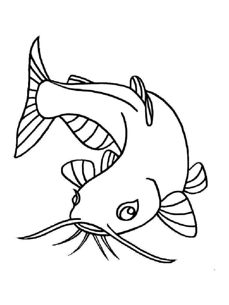 Fish Catfish Coloring Pages Printable - KINDERPAGES.COM